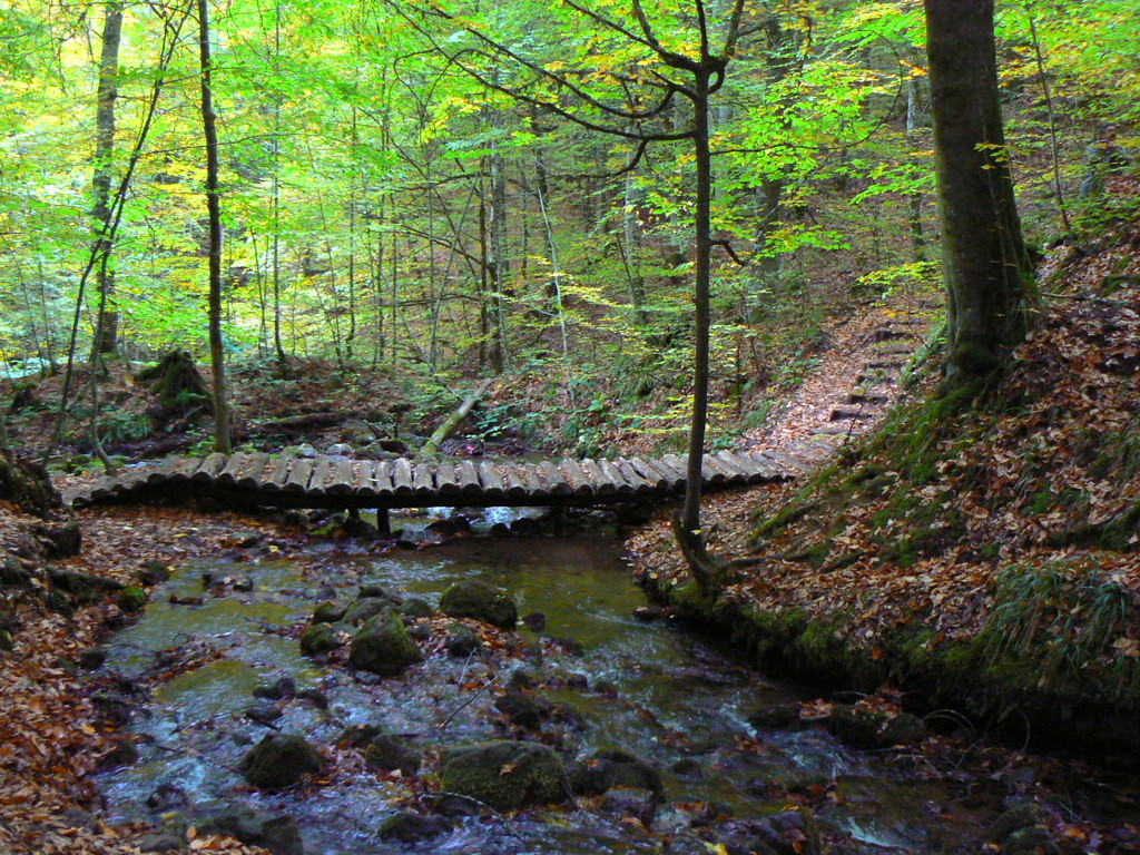 Bolu